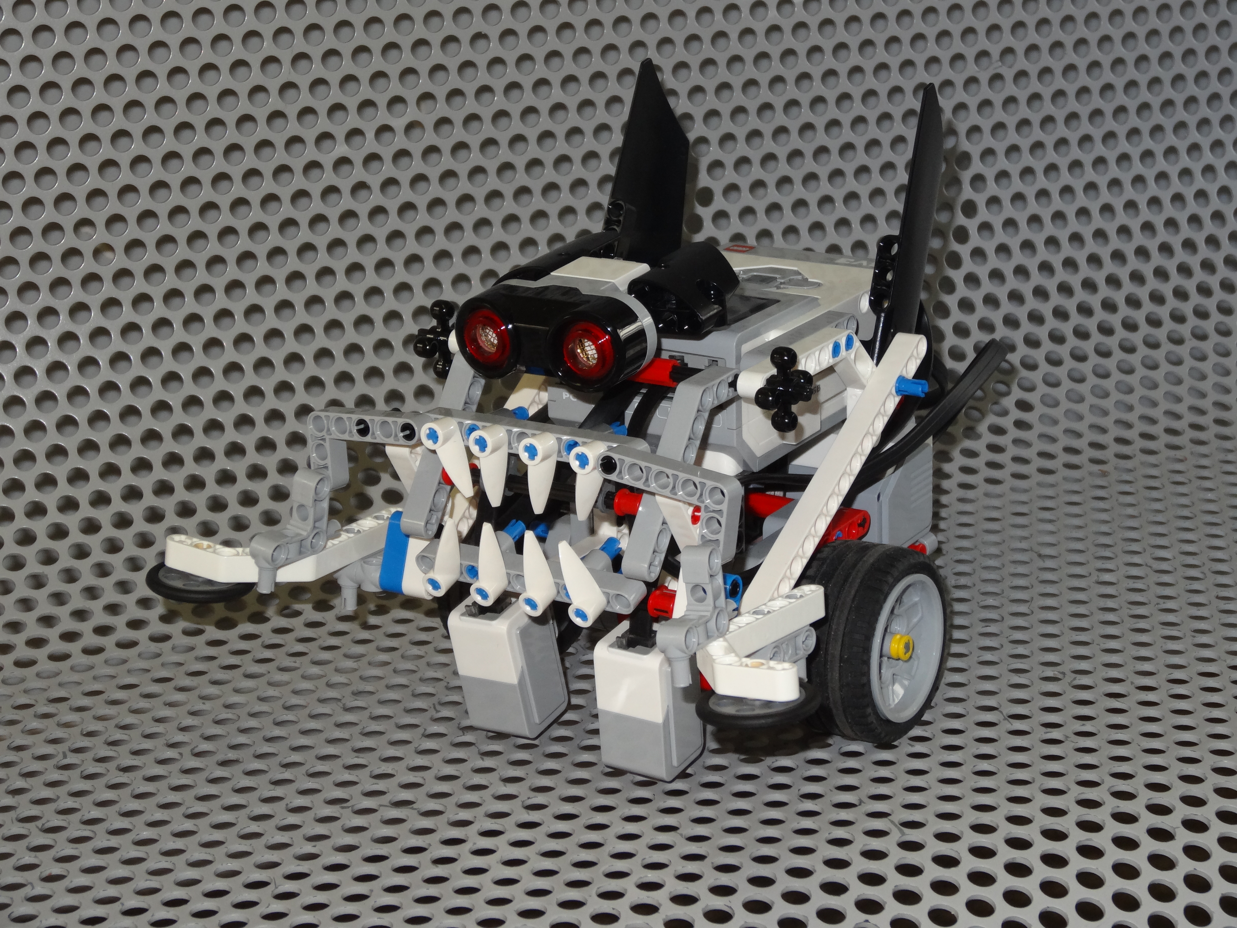 Photo du Robot
